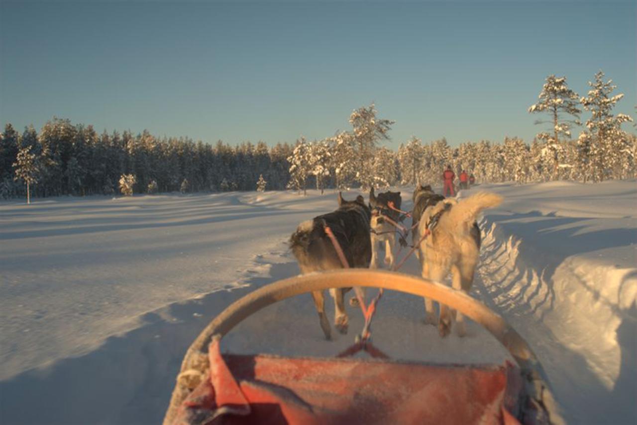 Arctic Panorama Lodge Uloybukta Екстер'єр фото