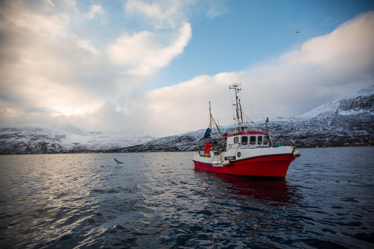 Arctic Panorama Lodge Uloybukta Екстер'єр фото